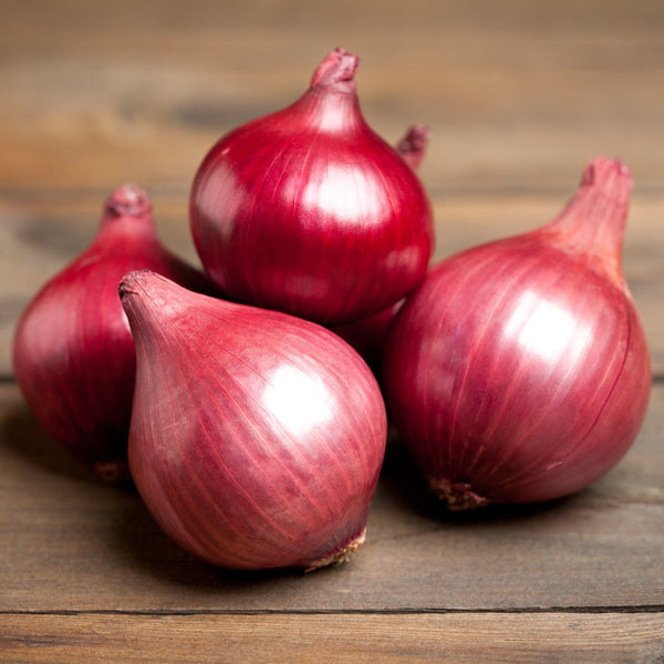 Onion